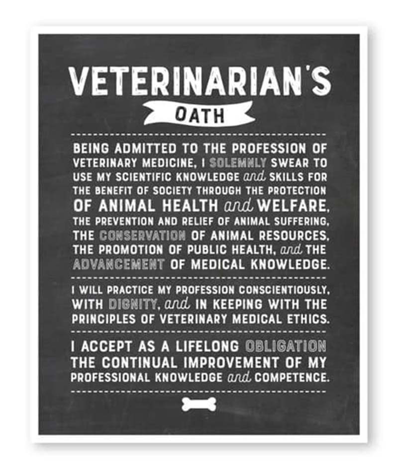 Agoura Hills Vets