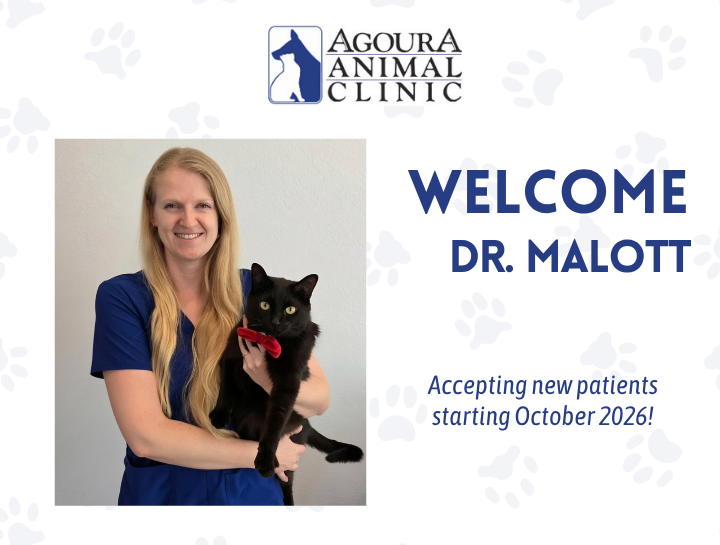 Welcome Dr. Aubrey Malott to Agoura Animal Clinic!